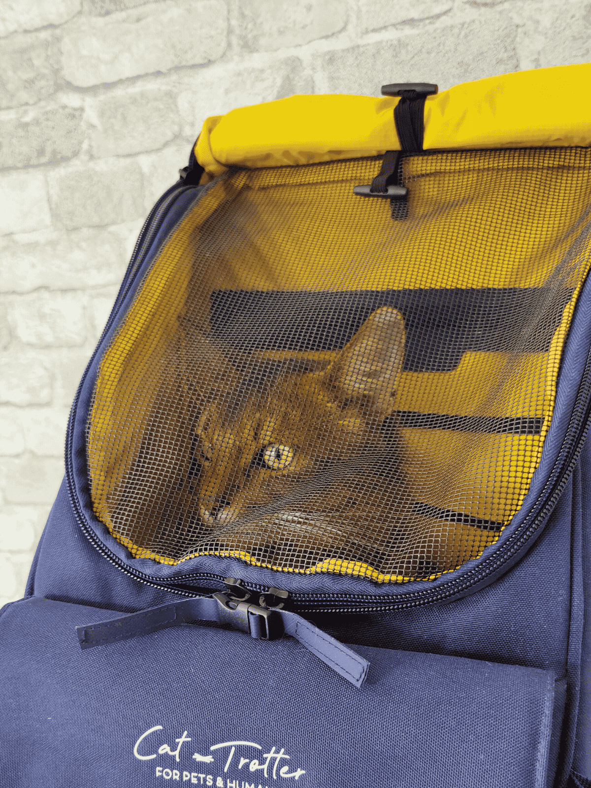 Cat-Trotter sac a dos transport chat