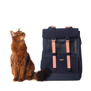 Sac de transport pour chat CarryCat™ – Au bonheur du chat - Boutique  d'accessoires pour votre chat et pour vous